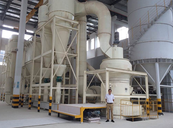 石灰石磨粉机,立磨,雷蒙磨,超细磨粉机