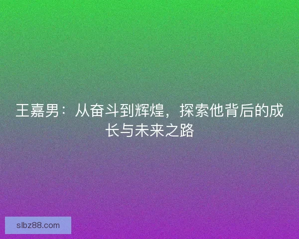 王嘉男：从奋斗到辉煌，探索他背后的成长与未来之路