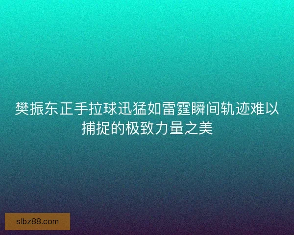 樊振东正手拉球迅猛如雷霆瞬间轨迹难以捕捉的极致力量之美